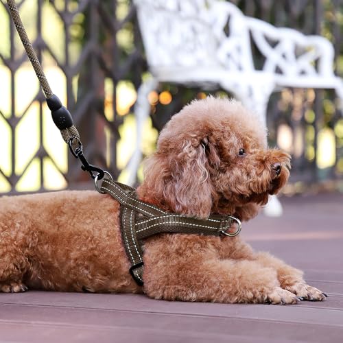 Plutus Pet No Pull Dog Harness with Breathable Mesh Padded, Adjustable Reflective Escape Proof Dog Harness, Quick Fit Dog Vest Harness for Small Medium Large Dogs(XXS, Chocolate) - color: Chocolate, size: XXS: chest 11.8"-15"
