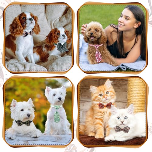Reginary 100 Pieces Dog Bow Tie Collar Set Include 40 Dog Neckties, and 30 Puppy Bowties, 30 Collar Flowers, Adjustable Pet Ties Grooming for Small Medium Cats Pets Supply (Paisley) - style: Paisley