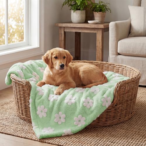 Horaldaily Pets Flannel Blanket, Green Flowers 3D Textured Soft Fuzzy Fluffy Plush Cozy Fleece Premium Blankets for Dog Cat Puppy Kitten Couch Protection, 16x23 - color: Green, size: 16''x23'',Small