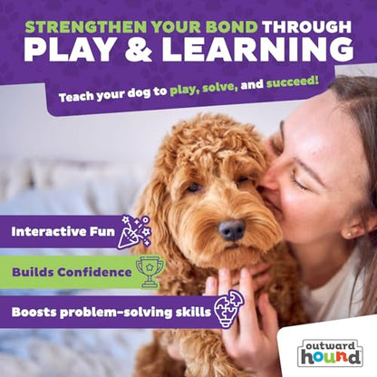 Outward Hound by Nina Ottosson Dog Casino Treat Puzzle Enrichment Toy, Level 3 Advanced, Turquoise - color: Dog Casino (Blue, Orange)