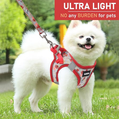 Small Dog Harness Collar and Leash Set, Step in No Chock No Pull Soft Mesh Adjustable Dog Vest Harnesses Plaid Reflective for Dogs Puppy Cats Kitten Rabbit (Red Flower, XXS) - color: Red Flower, size: XXS