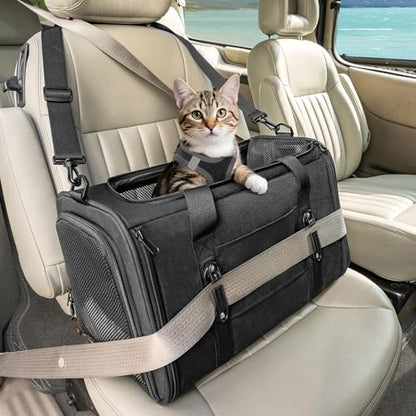 PETSFIT Soft-Sided Cat Carrier with Patented Safety Buckles, Lockable Zippers & Safety Tether,Escape-Resistant Travel Pet Carrier for Car Rides & Vet Visits, Airline Approved Under-Seat, Up to 12 lbs - color: Black, size: Medium