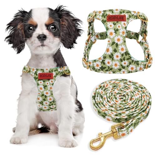 No Pull Dog Harness Adjustable Small Dog Harness and Leash Set, Lightweight and Soft, Green Daisy, XS - color: Green Daisy, size: XS