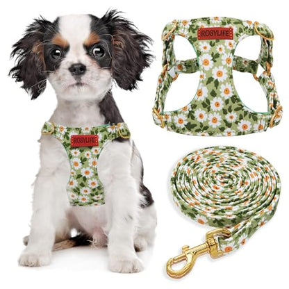 No Pull Dog Harness Adjustable Small Dog Harness and Leash Set, Lightweight and Soft Dog Harness No Choke Escape Proof Pet Harness Vest (Green Daisy, XX-Small) - color: Green Daisy, size: XX-Small