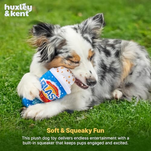 Huxley & Kent Funny Dog Toy w/Squeaker – Power Plush Squeaky Dog Toys for Small, Medium & Large Dogs – Soft Stuffed Animal for Indoor Play & Fetch - Arctic Blast Treat, Large - size: Large, style: Arctic Blast Treat