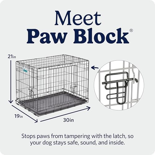 MidWest Homes for Pets 30-Inch iCrate for Medium Breeds, 21-40 lbs, Single Door Folding Dog Crate with Divider Panel, Leak-Proof Tray & Secure Latch, Portable, Durable & Easy to Assemble - size: 30.7"L x 19.3"W x 21.5"H