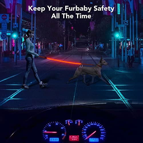 Colaseeme Light Up Dog Leash, LED Pet Leashes USB Rechargeable, Glow Safety Dogs Lights at Night (4FT,Red) - color: Red, size: 4FT