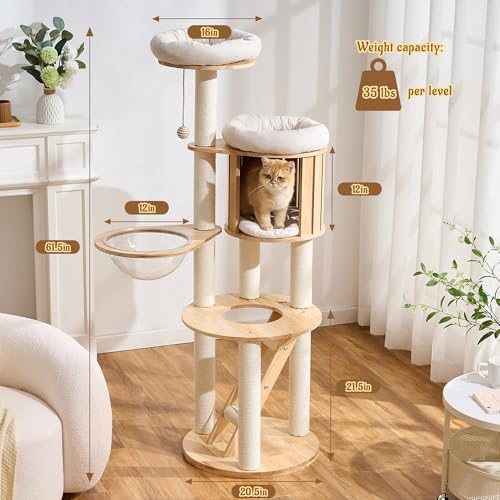 Modern Cat Tree Tower with Scratching Post, 61.5in Tall Cat Tree for Indoor Cats, Multi-Level Solid Wood Cat Furniture with Ladder, Cozy Cat Beds, Cat Condo, Capsule Nest, Dangling Toy, Natural - color: 61.5"Natural