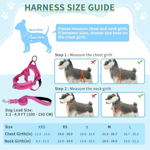 SlowTon No Pull Small Dog Harness and Leash Set, Puppy Soft Vest Harness Neck & Chest Adjustable, Reflective Lightweight Harness & Anti-Twist Pet Lead Combo for Small Medium Dogs (Fuchsia, S) - color: A-Fuchsia - With Front Clip, size: Small