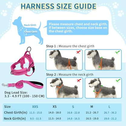 SlowTon No Pull Small Dog Harness and Leash Set, Puppy Soft Vest Harness Neck & Chest Adjustable, Reflective Lightweight Harness & Anti-Twist Pet Lead Combo for Small Medium Dogs (Fuchsia, S) - color: A-Fuchsia - With Front Clip, size: Small