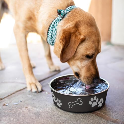 Loving Pets Bella Dog Bowls- Stainless Steel Dog & Cat Bowls - Spill Proof Dog Food Bowl, Cat Bowl, Puppy Essentials & Pet Supplies Great for Home & Travel (Large 35-65 lbs, Espresso) - color: Espresso, size: Large (35-65lbs)