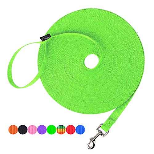 Hi Kiss Dog/Puppy Obedience Recall Training Agility Lead - 15ft 20ft 30ft 50ft 100ft Training Leash - Great for Training, Play, Camping, or Backyard (15 Feet, Green) - color: Green, size: 15 Feet