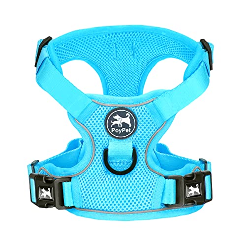 PoyPet Reflective Soft Breathable Mesh Dog Harness No Choke Double Padded Vest Adjustable(Light Blue,XS) - color: Blue, size: XS