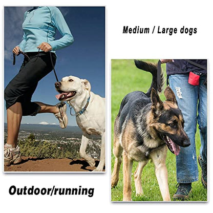 LWBMG Leather Dog Leash 6ft x 3/4 inch, Heavy Duty Genuine Leather Braided Dog Training Leash, Soft and Strong Pet Lead for Large, Medium, Small Dogs - color: Brown, size: 6 ft x 3/4 inch