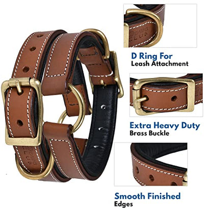 | Genuine Leather Adventure Dog Collar | Full Grain, Heavy Duty | With inner Cushioned padding | Best for Medium, Large & XL Dog (Medium (Fit Neck Size 14.5"-18.5"), Brown With Center O Ring) - color: Brown With Center O Ring, size: M (Fit Neck Size 14.5"