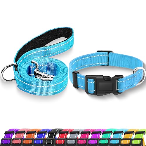 Reflective Dog Collar with Safety Locking Buckle, Adjustable Soft Breathable Nylon Collars for Small, Medium and Large Dogs(Collar+Leash XS Width 3/8" Sky Blue) - color: Sky Blue, size: XX-Small (Width 3/8")
