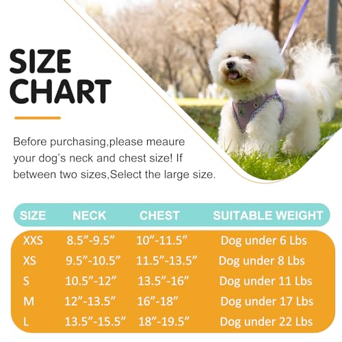 Dog Harness & Leash Set - No Pull Soft Breathable Small Dog Harness, Adjustable Reflective Step-in Vest for Puppy, Kitten, Cats - color: purple, size: xs
