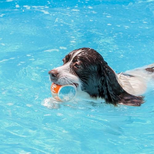 ALL FOR PAWS 2.5" Tennis Balls for Dogs, Dog Balls for Ball Launcher Toy, Bouncy & Durable Fetch Balls for Medium Large Dogs, 4 Pack Fetch Toy for Outdoor Play - size: 2.5"ball