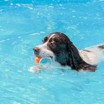 ALL FOR PAWS 2.5" Tennis Balls for Dogs, Dog Balls for Ball Launcher Toy, Bouncy & Durable Fetch Balls for Medium Large Dogs, 4 Pack Fetch Toy for Outdoor Play - size: 2.5"ball