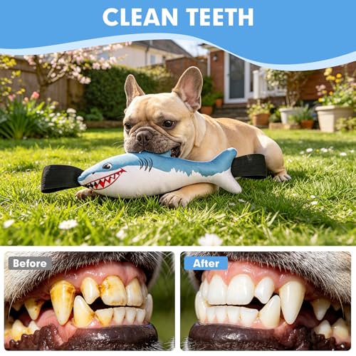 BINGPET Interactive Dog Toys for Small Dogs, Squeaky Dog Chew Toys to Keep Them Busy, Tug of War Puppy Training Toys for Chewers, Small & Medium Dogs, Fetch Lovers, Durable Puppy Necessities, Shark