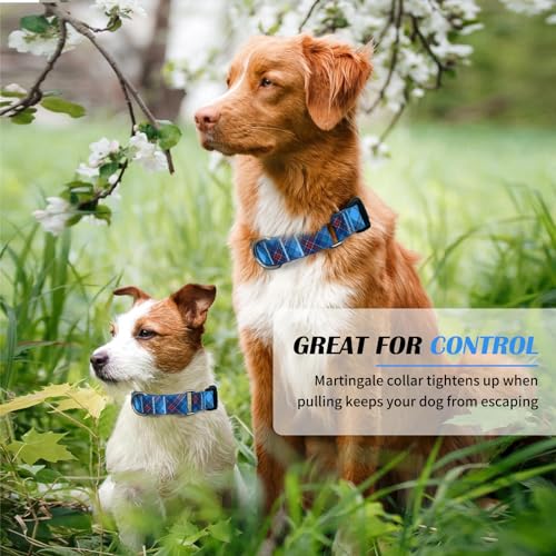 Hikiko Dog Collar for Small Medium Large Dogs, Adjustable Nylon Martingale Collars with Quick Release Buckle (Blue Plaid,L) - color: Blue Plaid, size: Large