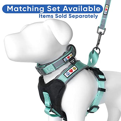 Pawtitas Reflective Padded Dog Harness for X-Small Dogs – Adjustable Puppy Step-in Vest | Fits Chest 14–18 in | No Pull Training Harness | XS | Teal - color: Teal, size: X-Small (Pack of 1)