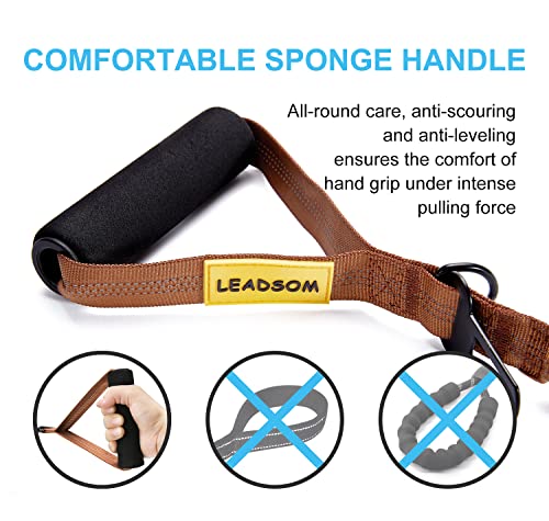 6FT Highly Reflective Heavy Duty Elastic Bungee Medium and Large Dog Leash Shock Absorbing with Comfortable Padded Handle and Traffic Handle Suitable for Training - color: Chocolate Brown
