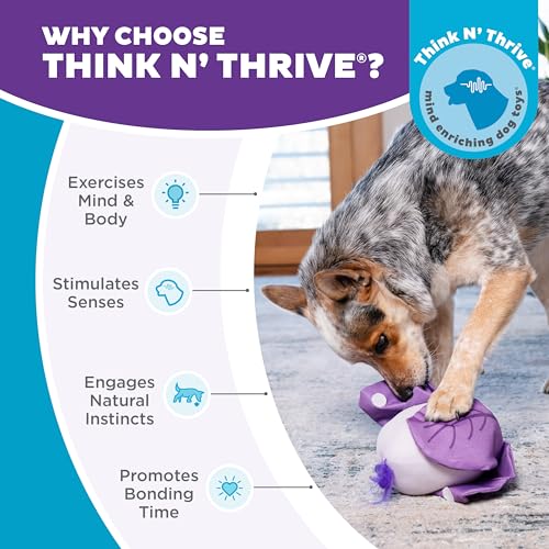 Outward Hound by Nina Ottosson Hide N' Find Interactive Plush Dog Puzzle, Durable Dog Toy, Plush Enrichment Toys, Cauliflower, Purple - color: Hide N' Find Cauliflower