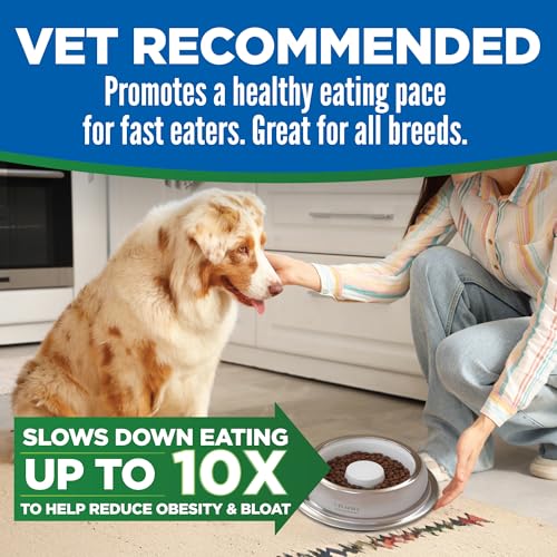Kinn Slow Feeder Dog Bowl, Disposable Pet Food Dish to Slow Down Eating Dogs, Frame Refills, for Travel, Boarding, or Crate, Compostable Pet Travel Bowl, No Plastic, Leakproof, 4 Cups (12 Count) - size: 12 Refills
