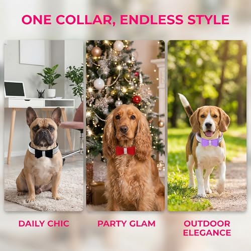 Rhinestone Dog Collar, Cute Dazzling Sparkling Soft Suede Leather Adjustable Pet Dog Cat Collar Crystal Diamond for Puppy Small Medium Large Dogs (XS:21-26cm, Black -1) - color: Black -1, size: XS:21 - 26cm