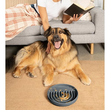 Should We Go? Slow Feeder for Dogs & Puppies, The Slowdown Bowl Silicone Slow Eating, Modern Lick Mat Design, Reduces Gulping, Fits 2.5 Cups 9.5” Across x 1.5” Tall, Mealtime Challenge, Large-Charcoal - color: Charcoal - Rainbow Design, size: Large (9.5”