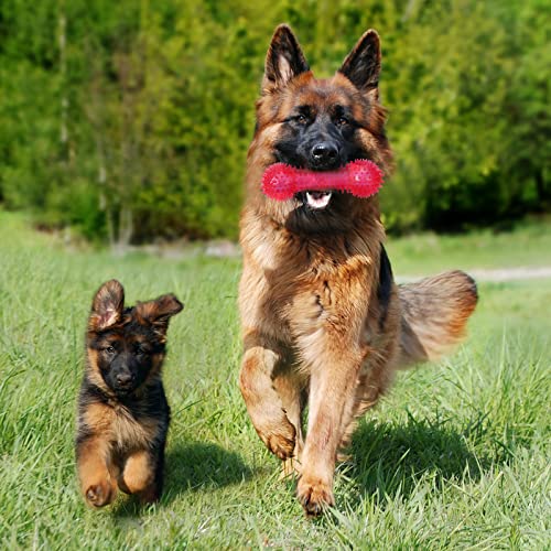 Yexiya 16 Pcs Dog Squeaky Toys Bulk Set Spiky Dogs Donut Bone Teething Toys Squeaky Balls TPR Rubber Toss Fetch for Puppy Small Medium Puppy Aggressive Chewers Training Fetching