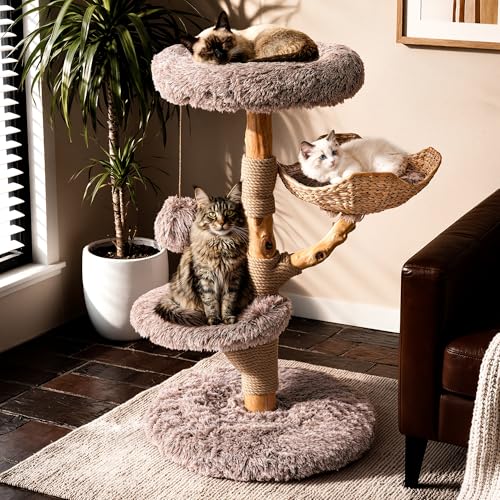 Sopapets Solid Wood Cat Tree for Large Cats, 41.3" Modern Cat Tower with Heavy Duty Real Branch & Hand-Woven Basket, Sisal Scratching Posts & Cozy Bed, Luxury Furniture for Indoor & Maine Coon, Beige - color: Beige