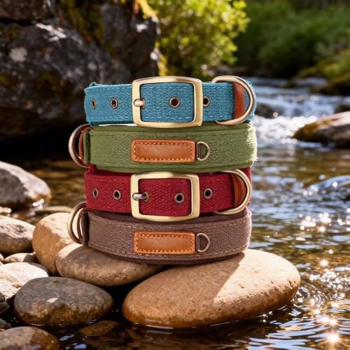 Soft Nylon Dog Collar with Buckle, Adjustable Padded Pet Collar with D-Ring for Small Medium Large Dogs,Brown,S - color: Brown, size: S:Neck 10.6-14.5"