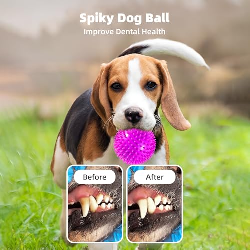 2 Pack 4.5” Squeaky Dog Balls for Large and Medium Dogs, Spiky Dog Toy Balls for Aggressive Chewers - color: Large Set of 2