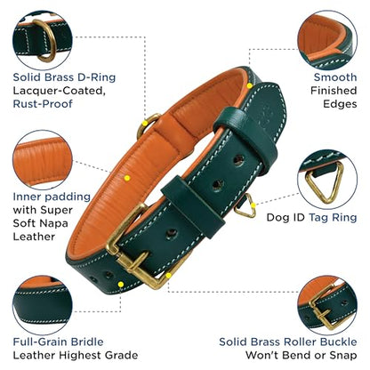 Genuine Leather Dog Collar – 1" Wide Full Grain, Padded, Heavy Duty with Brass Buckle for Small, Medium, Large, XL Dogs (Medium (Fit Neck Size 14.5"-18.5"), Teal Green) - color: Teal Green, size: M (Fit Neck Size 14.5"-18.5")