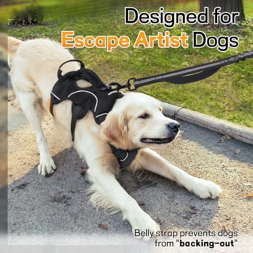 rabbitgoo Escape Proof Dog Harness, Soft Padded Full Body Pet Harness, Reflective Adjustable No Pull Vest with Lift Handle and Leash Clip for Large Dogs Walking Hiking Training, L, Black - color: Black, size: Large (Pack of 1)