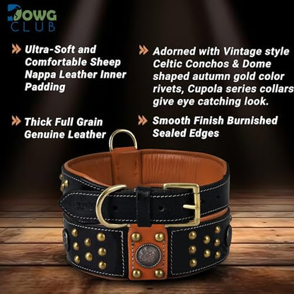 Premium Leather ‘Cupola’ Series Collar for Large Dogs | Celtic Conchos & Gold Dome Rivets | 2 Inch Wide | Soft, Heavy Duty, Cushion Padding | (L (Neck Size 18.5"-22.5"), Sable Black) - color: Sable Black, size: L (Neck Size 18.5"-22.5")