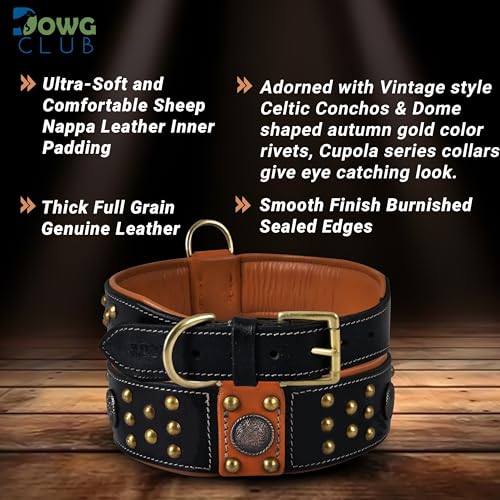 Genuine Leather ‘Cupola’ Series Dog Collar | Celtic Conchos & Gold Dome Rivets | Soft, Cushion Padding, Handmade | Best for Medium, Large, XL Breeds (M (Neck Size 14.5"-18.5"), Sable Black) - color: Sable Black, size: M (Neck Size 14.5"-18.5")