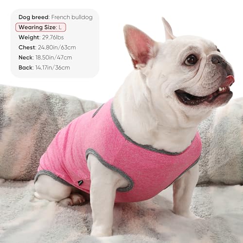3 Pack Lightweight Sun Protection Dog Shirt Breathable Sleeveless Dog T Shirts Extra Soft Top Tank Dog Clothes for Outdoor Activities (Leather Pink + Light Blue + Light Pink, Small)