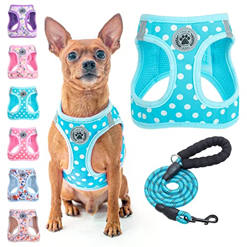 BEAUTYZOO Step in Dog Harness and Leash Set, Polka Dot Pattern Reflective Dog Harness No Pull No Choke Puppy Harness for XXS XS S Dogs Cats, Soft Padded Mesh Vest Harnesses for Girl and Boy Pets - color: Blue Polka Dots, size: XX-Small(Chest Girth 11.5"-1