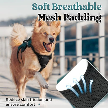rabbitgoo Escape Proof Dog Harness Medium, Soft Padded Full Body Pet Harness, Reflective Adjustable No Pull Vest with Lift Handle and Leash Clip for Walking Hiking Training, Dark Green, M - color: Dark Green, size: Medium (Pack of 1)