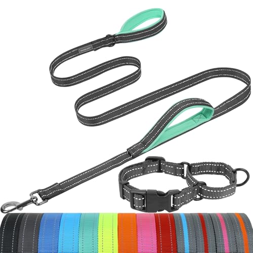 VIVAGLORY Dog Leash Twingrip Double Handle Dog Leash with Traffic Handle Control & 2 Loop for Walking & Training, Reflective Heavy Duty for Puppy Pet Collar, 5 ft. x 1 in. + M2, Grey - color: Grey, size: 5 Ft. X 1 In. + M2