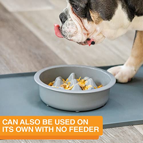 The Niner Slow Feed Bowl - Raised Peaks Slow Down Pets Eating - Fits Elevated Feeders Including Neater Feeder Large Sizes - Gentle on Teeth and Gums - Holds up to 2 Cups (Silver) - color: Silver
