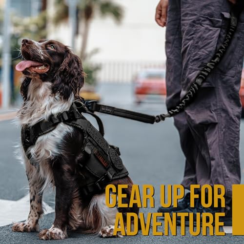 Tactical Dog Training Bungee Leash with 2 Control Handle Quick Release Nylon Leads Rope (Black) - color: Black