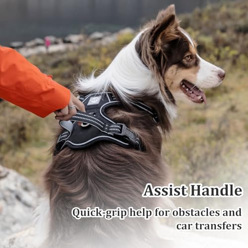 Vest Harness for Dogs - Reflective Adjustable Padding with Easy-On Design & Leash Attachment (M, Black) - color: Black, size: M