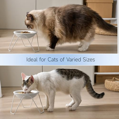 CEEFU 2-Pack Ceramic Raised Cat Bowls for Food and Water, Elevated Pet Dishes Bowls with Stand, Cats and Small Dogs, Dishwasher Safe