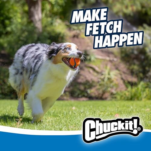 Chuckit Gen 1 Fetch Pack Dog Balls - Interactive Dog Toys, High-Bounce Fetch Ball, Floating Ultra and Rugged Balls, Durable - Size Medium, 2.5-inch Diameter, Set of 3 - size: Medium (2.5"), style: Fetch Pack 1