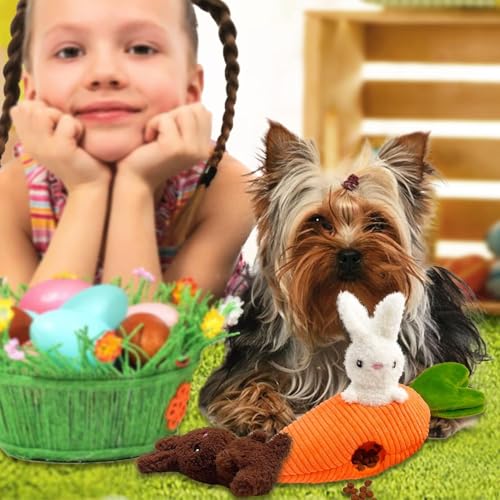 Easter Dog Toys, Carrot Hide and Seek with 2 Squeaky Bunny Small and Plush Dog Puzzle Toys, Easter Squeaky Gifts for Small and Medium Dogs - style: B-Easter Carrot