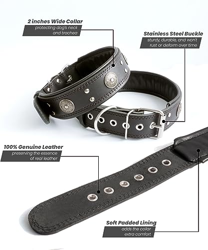 Leather Dog Collar, 2 inches Wide Heavy Duty Genuine Leather Collars, Handmade, Soft, and Luxury, Eye-catching Best Choice for Large and Medium Breed Dogs, Black 15-19 in - color: Black, size: 15-19 in
